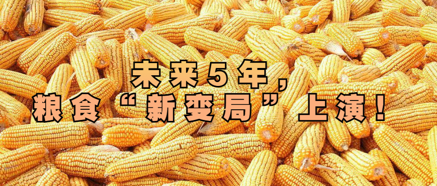 未來5年，糧食“新變局”上演！